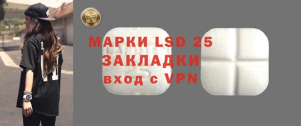 PSILOCYBIN Гусиноозёрск