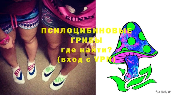 герыч Алексин
