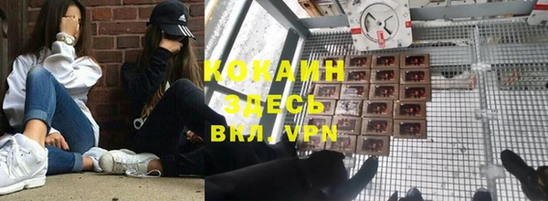 прущий лед Алзамай