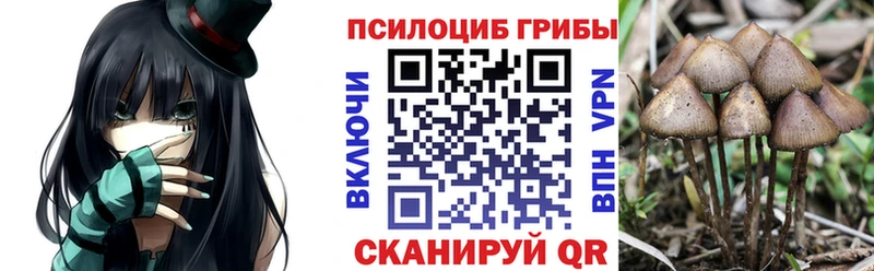 Галлюциногенные грибы ЛСД  купить закладку  Новое Девяткино 