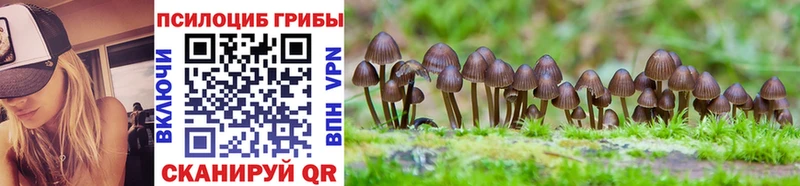 Галлюциногенные грибы MAGIC MUSHROOMS Новое Девяткино